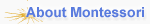 About Montessori
